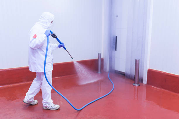 Boat and Dock Cleaning in Newport Beach, CA